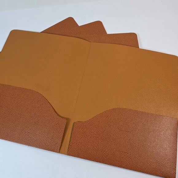 4 Retro Nike Basketball skin Portfolio Paper Keeper Peachy Nike swoosh - Picture 3 of 10